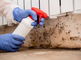 Mold Documentation for Insurance Claims in Howe, TX